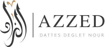 Dattes branchées, Dattes standard, Deglet nour Arjoun en Tunisie