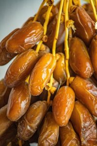 arjoun deglet nour arjoun deglet nour