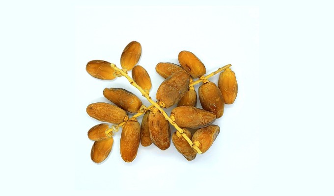 dattes de Tunis