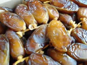 deglet nour tunisie