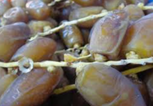 dattes à Tunis