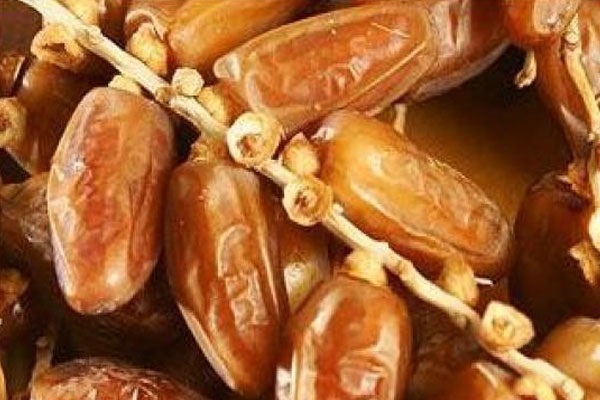 dattes branchées en Tunisie