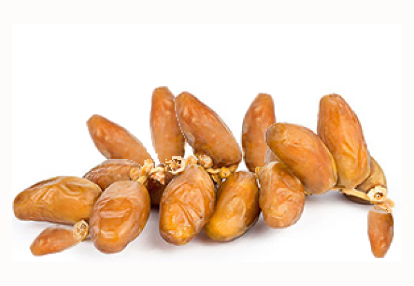 arjoun deglet nour