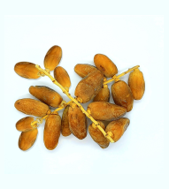 deglet nour tunisie
