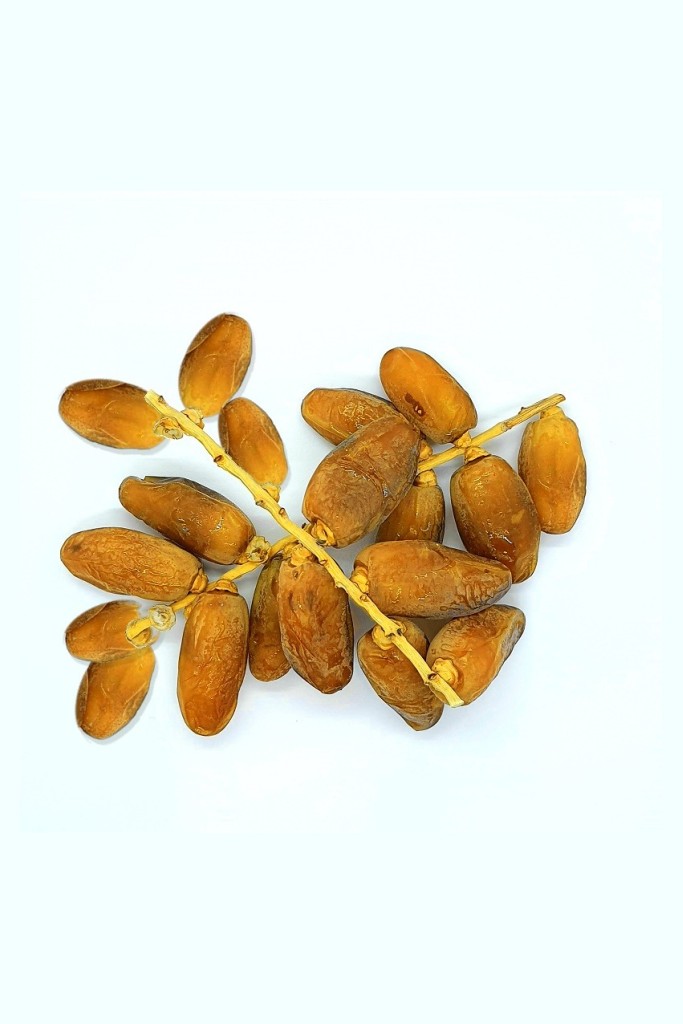 dattes deglet nour