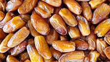 Dattes Tunisie