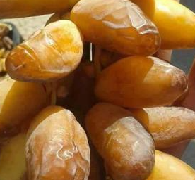 dattes Tunisie