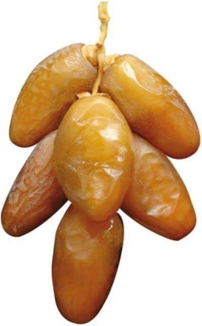 deglet nour