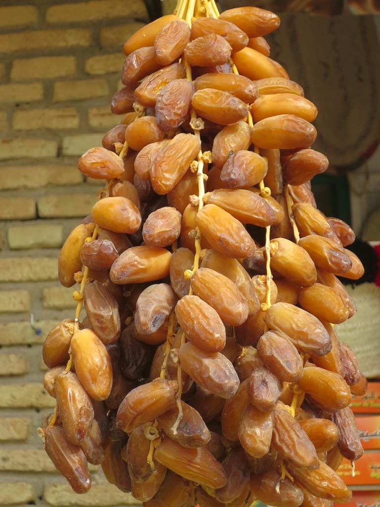 Dattes Tunisie