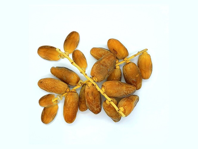dattes branchées en Tunisie