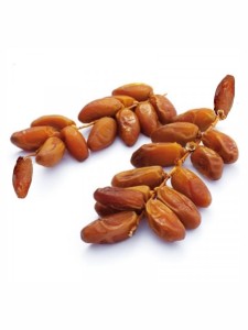 arjoun deglet nour arjoun deglet nour