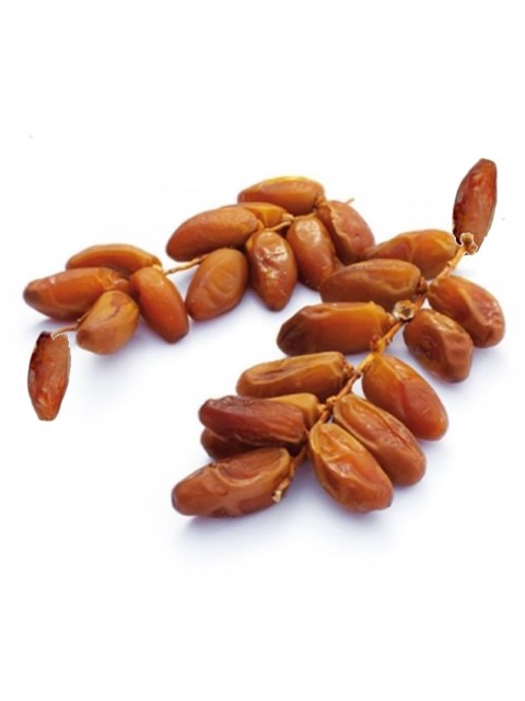 arjoun deglet nour